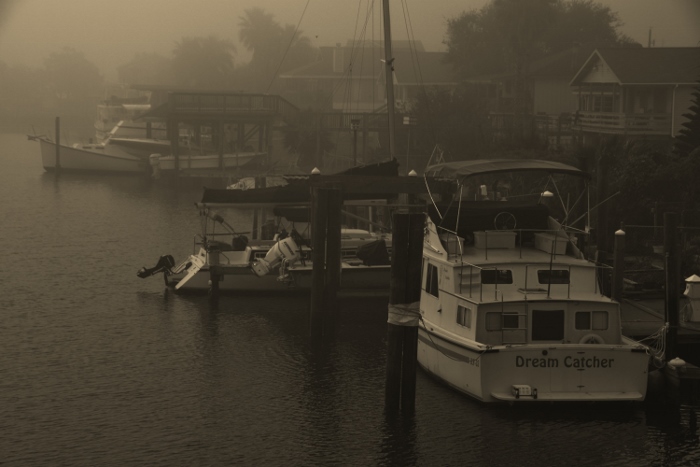 a foggy morning on the lagoon